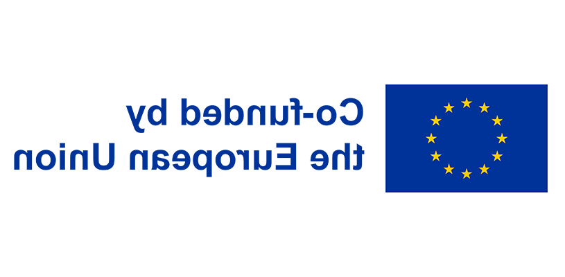 Logo of Co-funded by the European Union