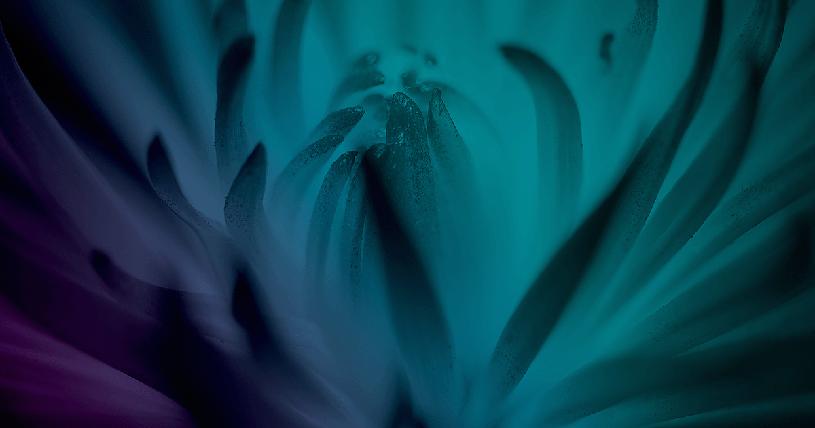The cover of Perstorps Sustainability Report 2022 featuring a close up of a blue flower