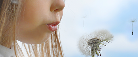 A child blowing air on a dandelion