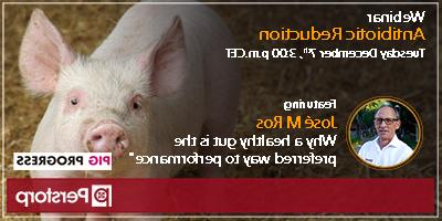Pig Progress webinar antibiotic reduction